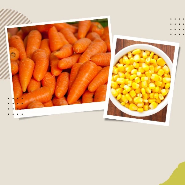 BIZCOCHO DE MAIZ Y ZANAHORIA