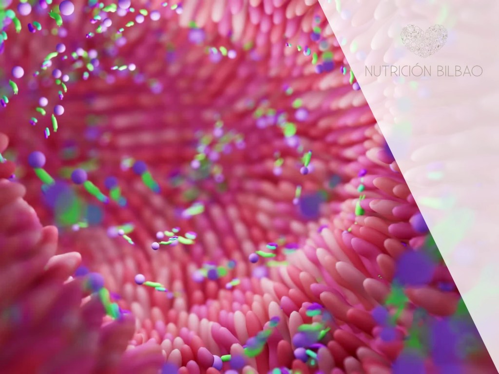 Ilustración de la microbiota intestinal vista al microscopio