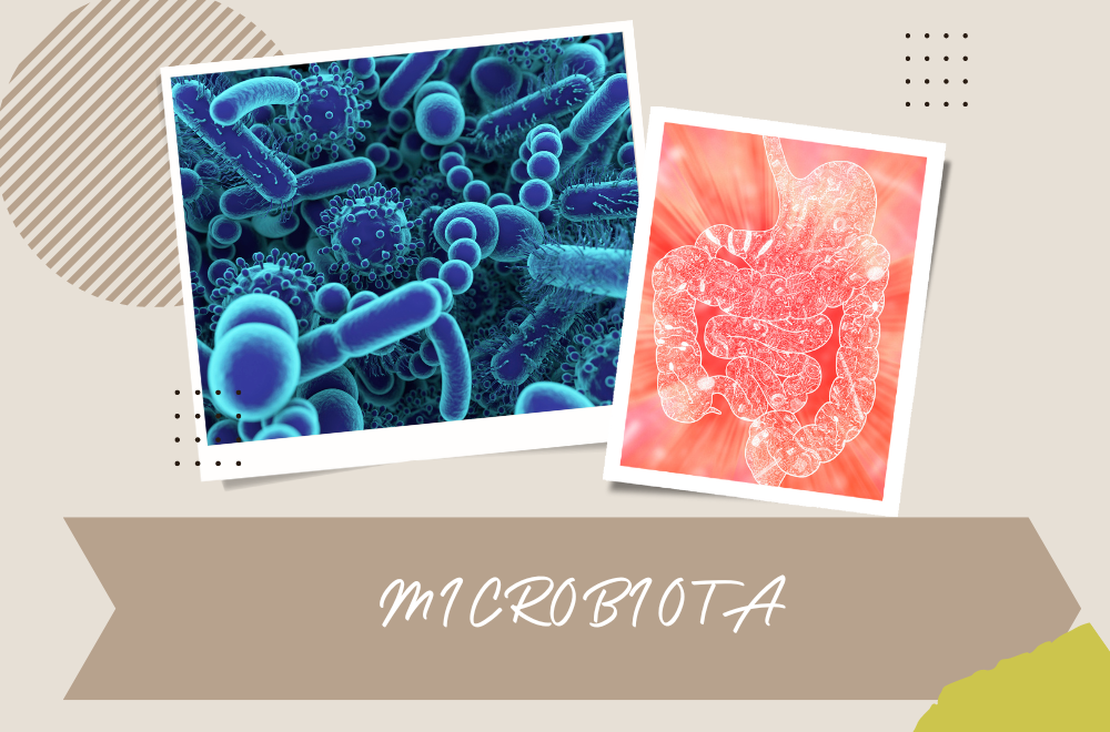 QUÉ ES LA MICROBIOTA